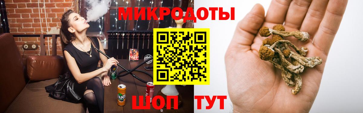 Галлюциногенные грибы Psilocybine cubensis Канск
